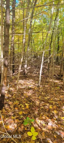 $70,000 | L3 Route 145 Cairo Ny 12413, Cairo, NY 12413