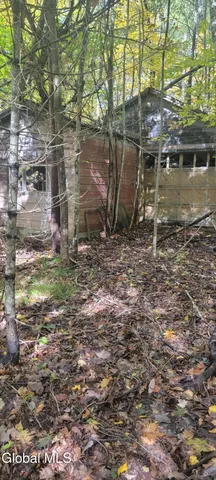 $70,000 | L3 Route 145 Cairo Ny 12413, Cairo, NY 12413