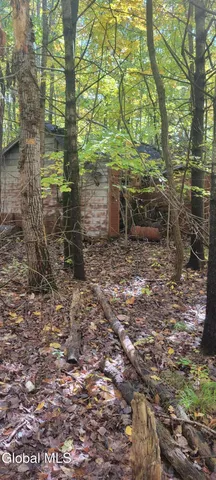 $70,000 | L3 Route 145 Cairo Ny 12413, Cairo, NY 12413