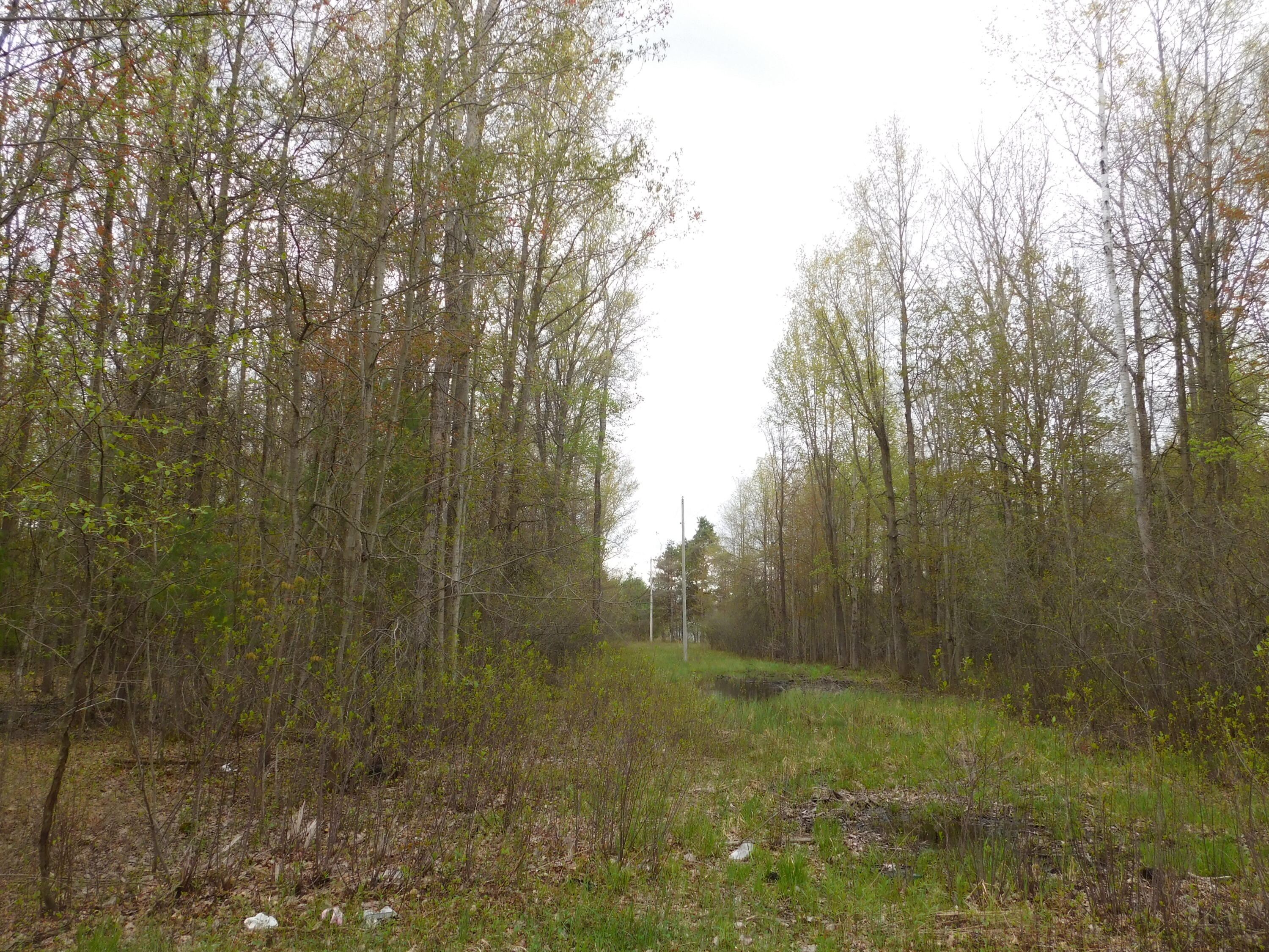 14540 Schroeder Road St. Charles, MI 48655 - Photo 26 of 45 DSCN8651