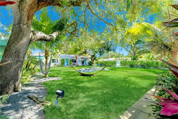 a view of a yard with plants and a bench