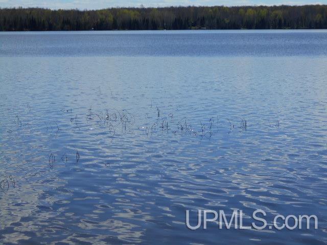10889 Halsey Lake Road Long Lake, WI 54542 - Photo 23 of 24 Gallery Image 23