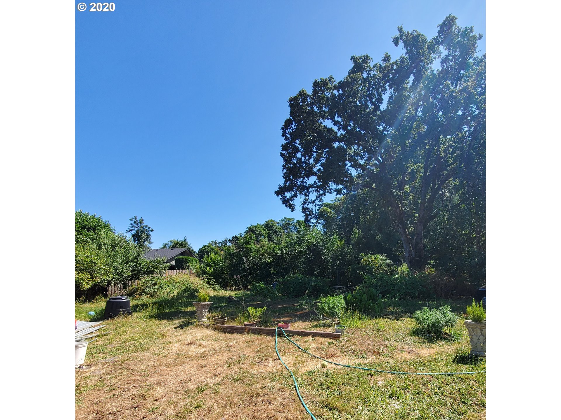 4331 Daisy Street Springfield, OR 97478 - Photo 18 of 18