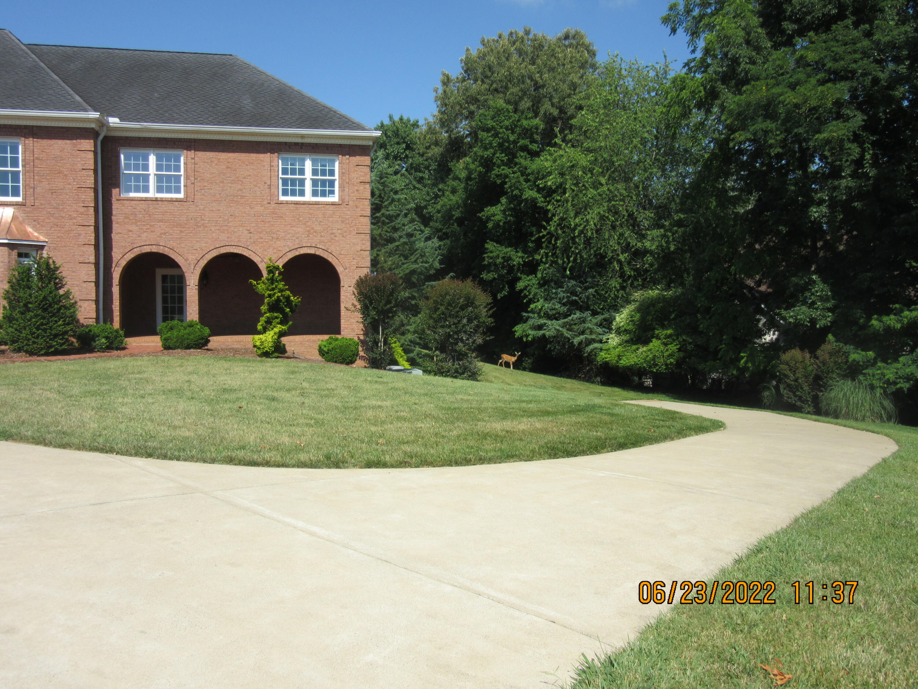 1450 Enterprise Road Bluff City, TN 37618 - Photo 5 of 100 IMG_4594