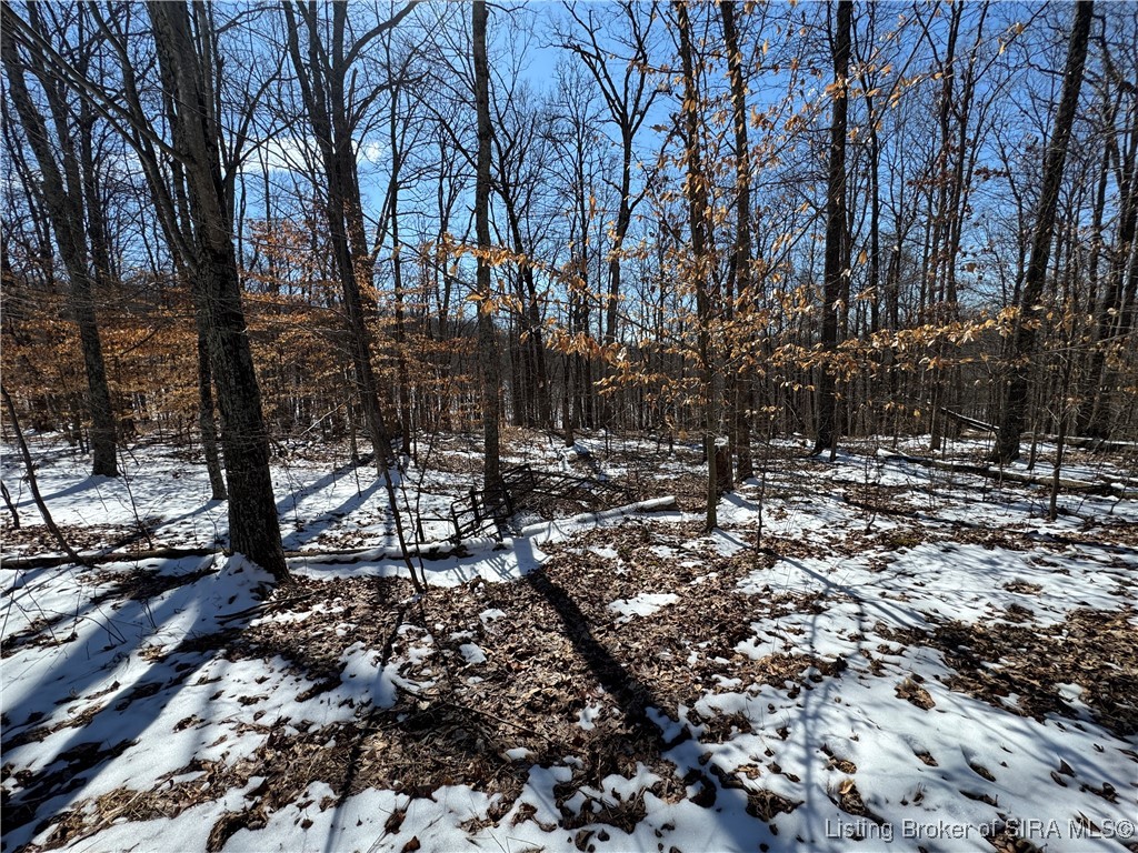 3 In-237 English, IN 47118 - Photo 12 of 22