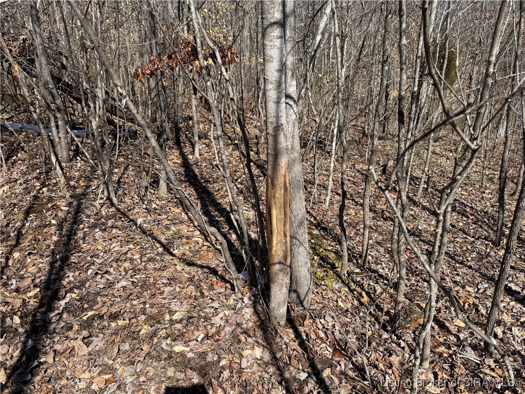 3 In-237 English, IN 47118 - Photo 21 of 22