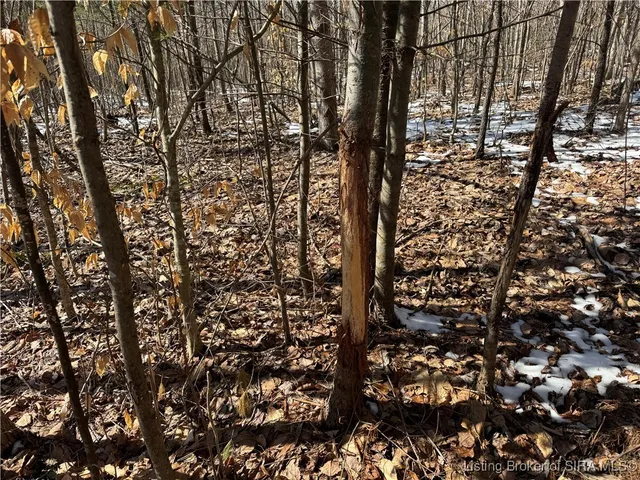 $263,059 | 3 In-237, English, IN 47118