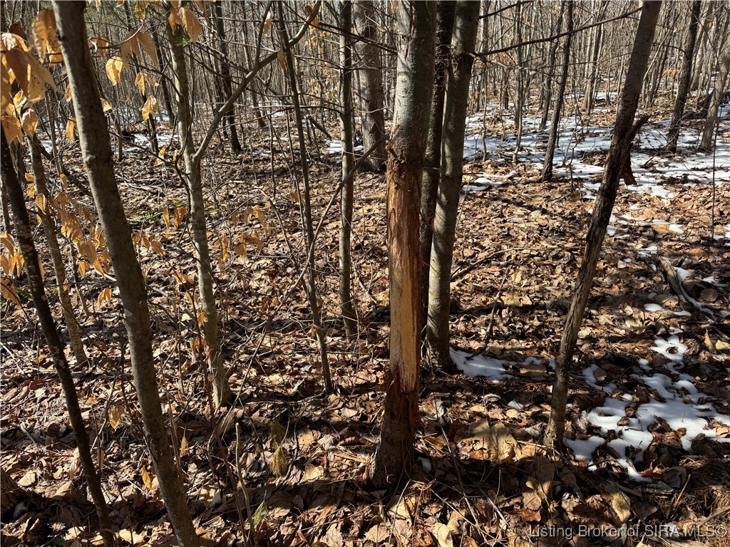 3 In-237 English, IN 47118 - Photo 22 of 22