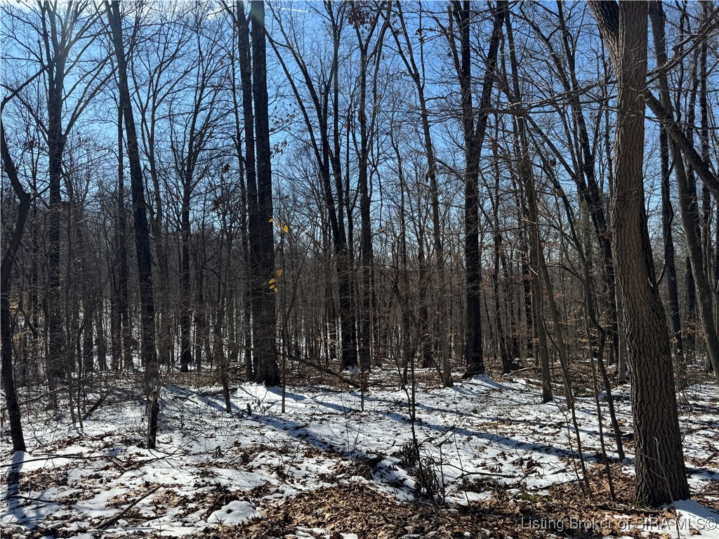 3 In-237 English, IN 47118 - Photo 5 of 22