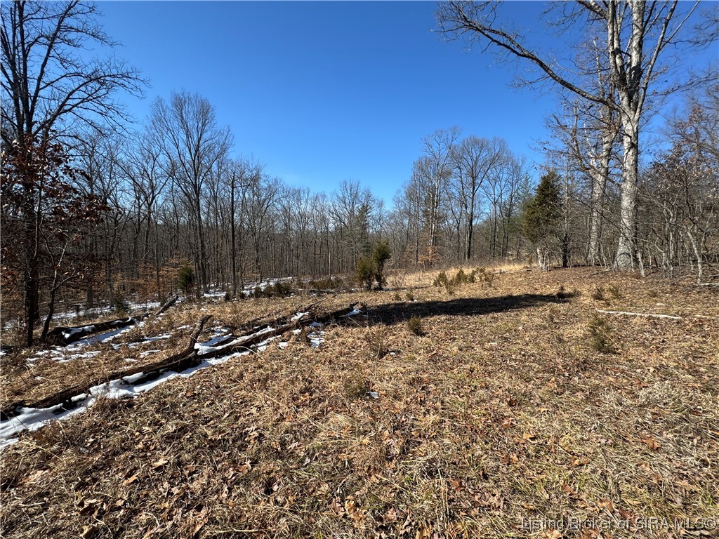 3 In-237 English, IN 47118 - Photo 9 of 22