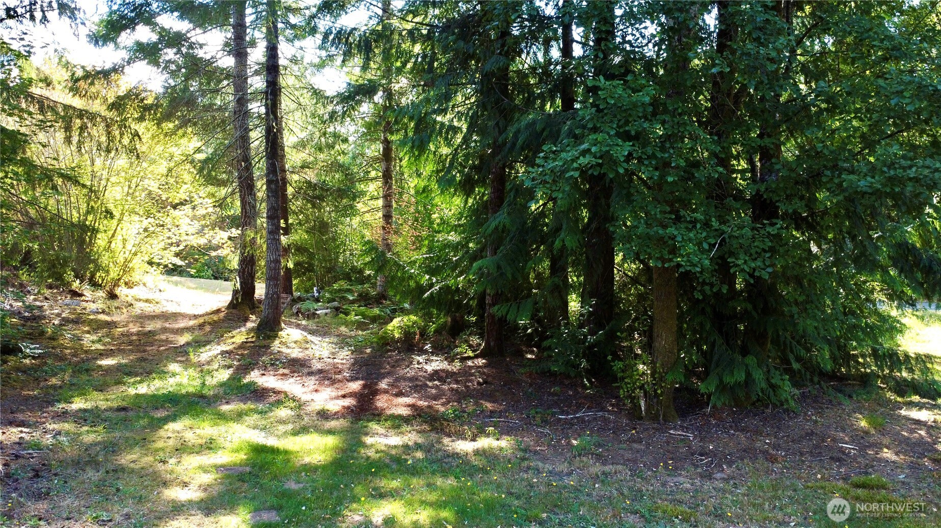 300 East Sunset Ridge Road Union, WA 98592 - Photo 15 of 40 Gallery Image 15