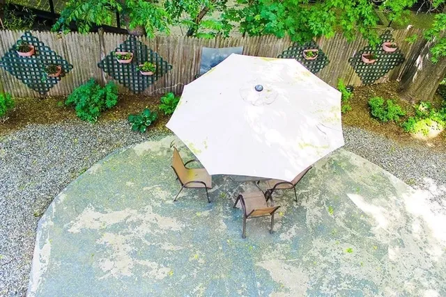 a view of a backyard