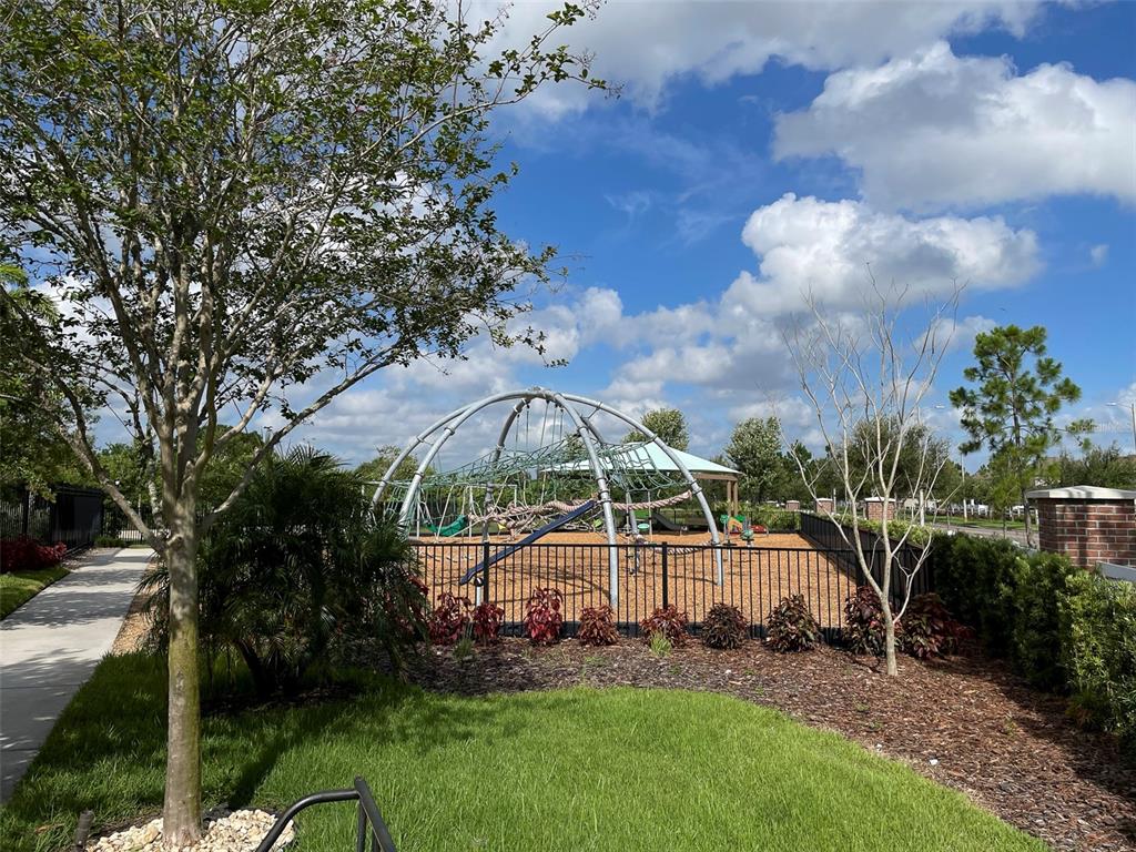 11005 Rockledge View Drive Riverview, FL 33579 - Photo 36 of 51