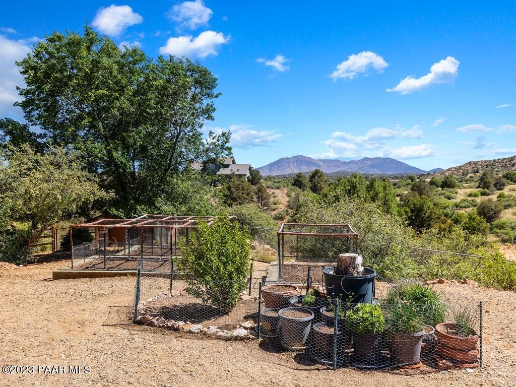 14770 North Brenda Road Prescott, AZ 86305 - Photo 25 of 37 025_Backyard