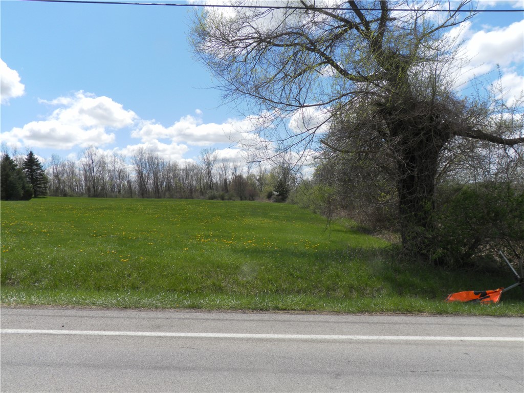 2455 Whitney Road East Perinton, NY 14450 - Photo 3 of 15