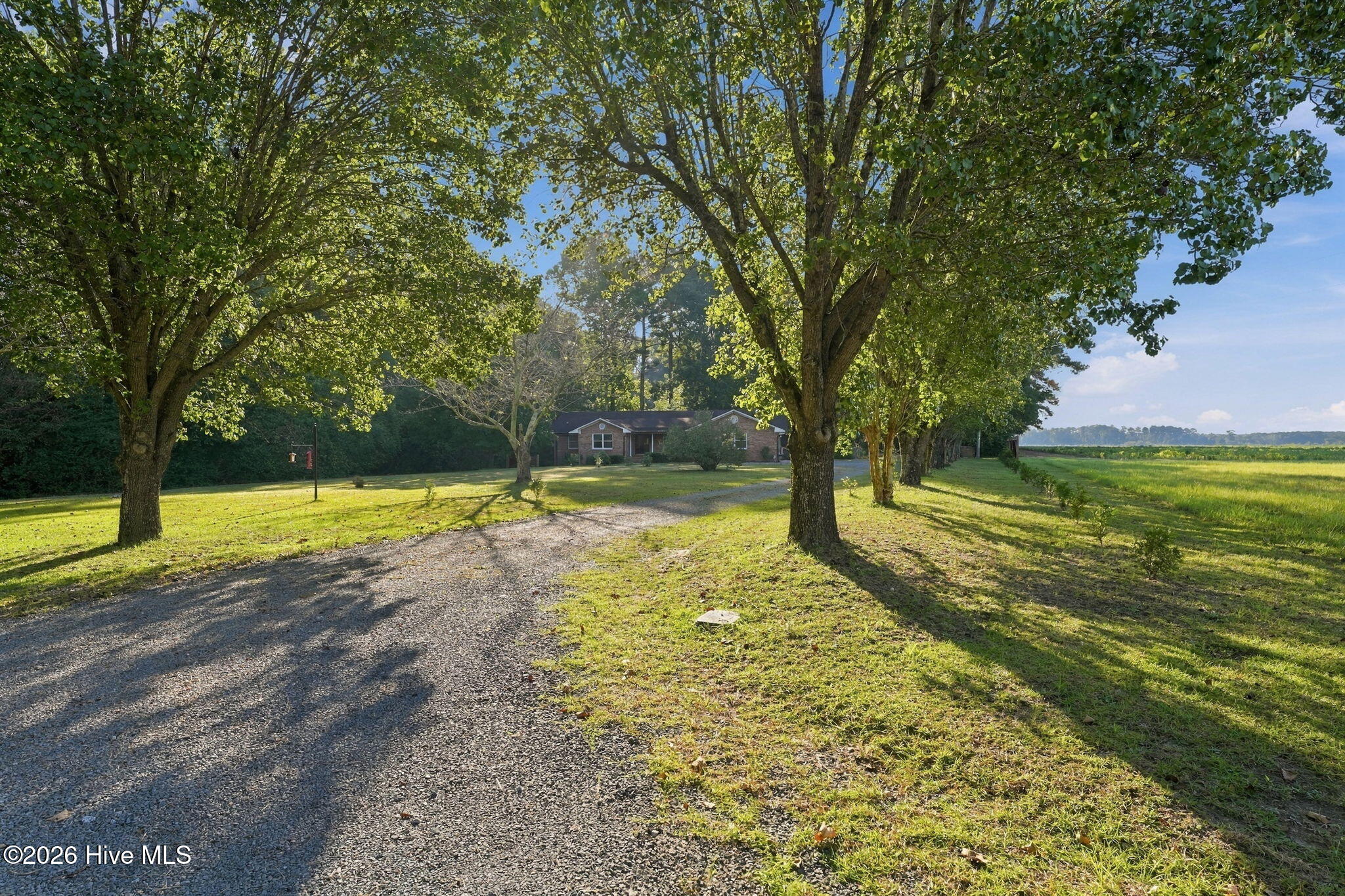 1997 Jenkins Road Fairmont, NC 28340 - Photo 46 of 61 12-web-or-mls-DSC05203