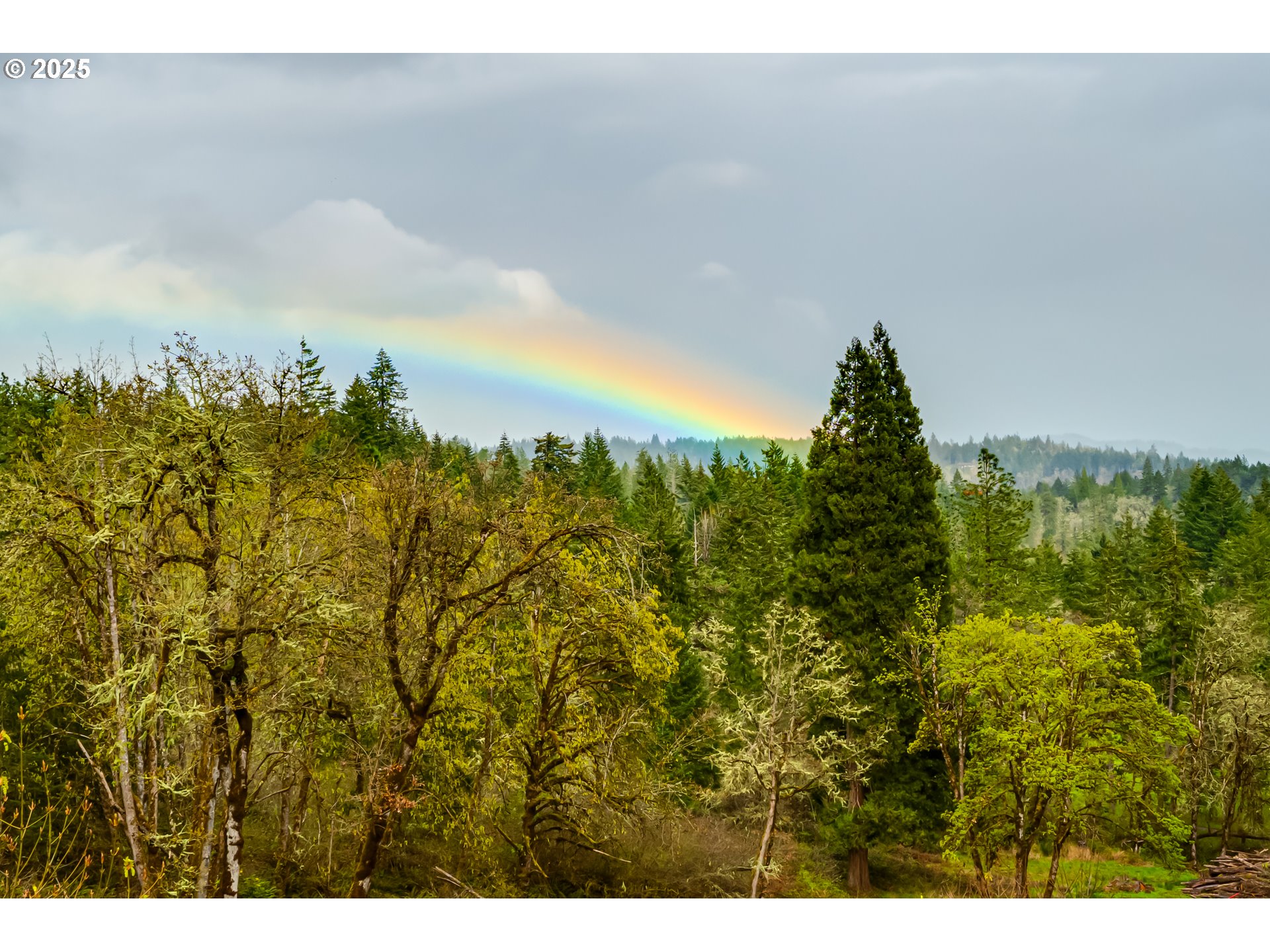 31490 Fox Hollow Road Eugene, OR 97405 - Photo 29 of 40 a view of a city
