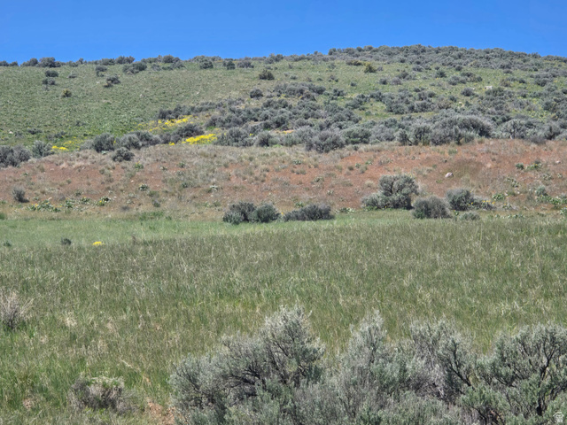 8400 North Treasurton Road Preston, ID 83263 - Photo 4 of 13 Expansive landscape featuring rolling hills, natural vegetation, and a clear blue sky