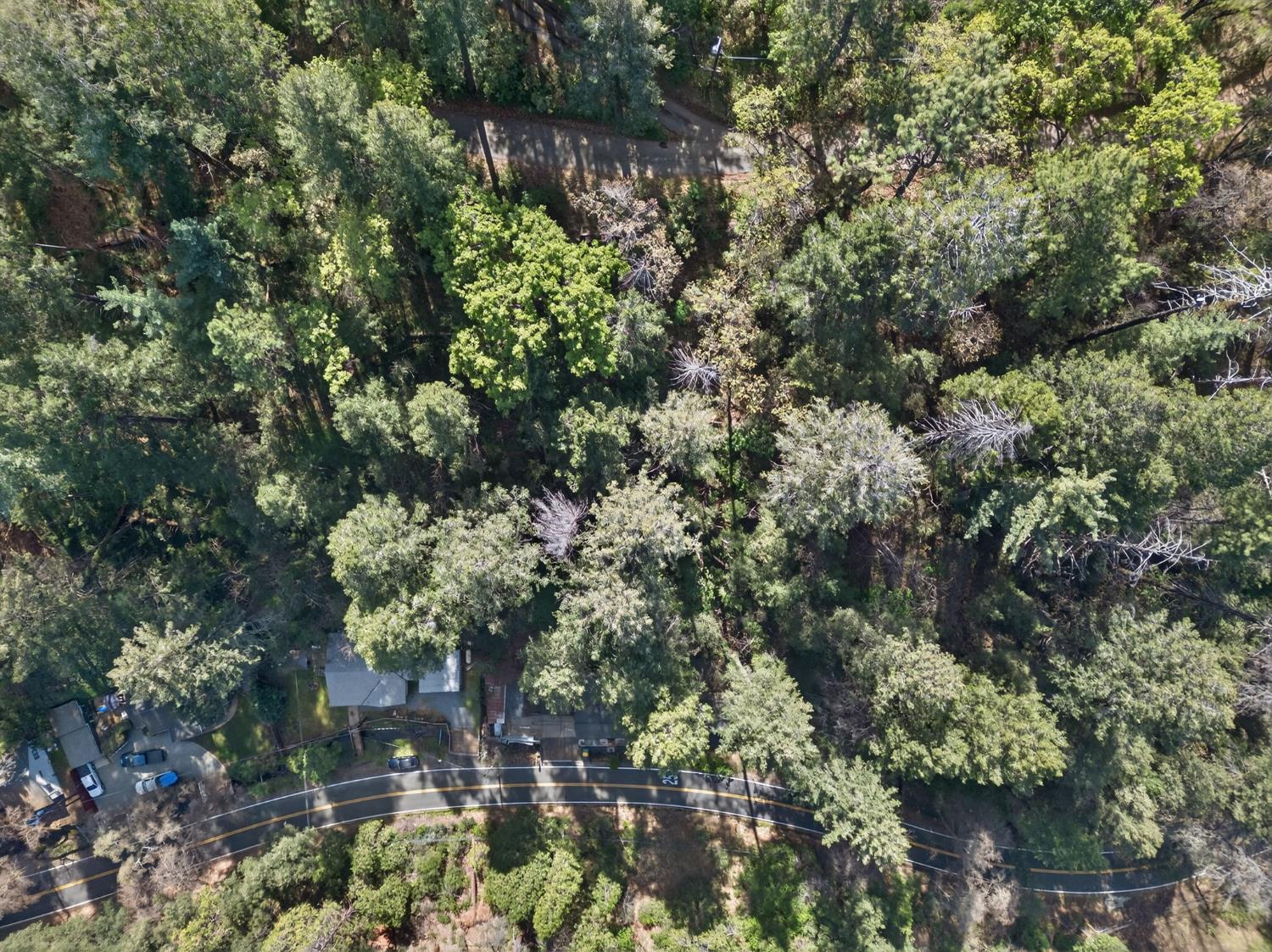 1818 Smith Flat Road Placerville, CA 95667 - Photo 49 of 52