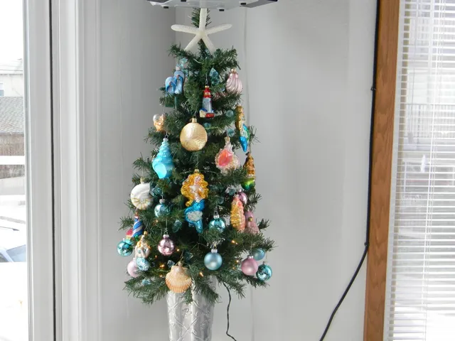 $9,800 | 122 2nd Avenue, Santa Cruz, CA 95062