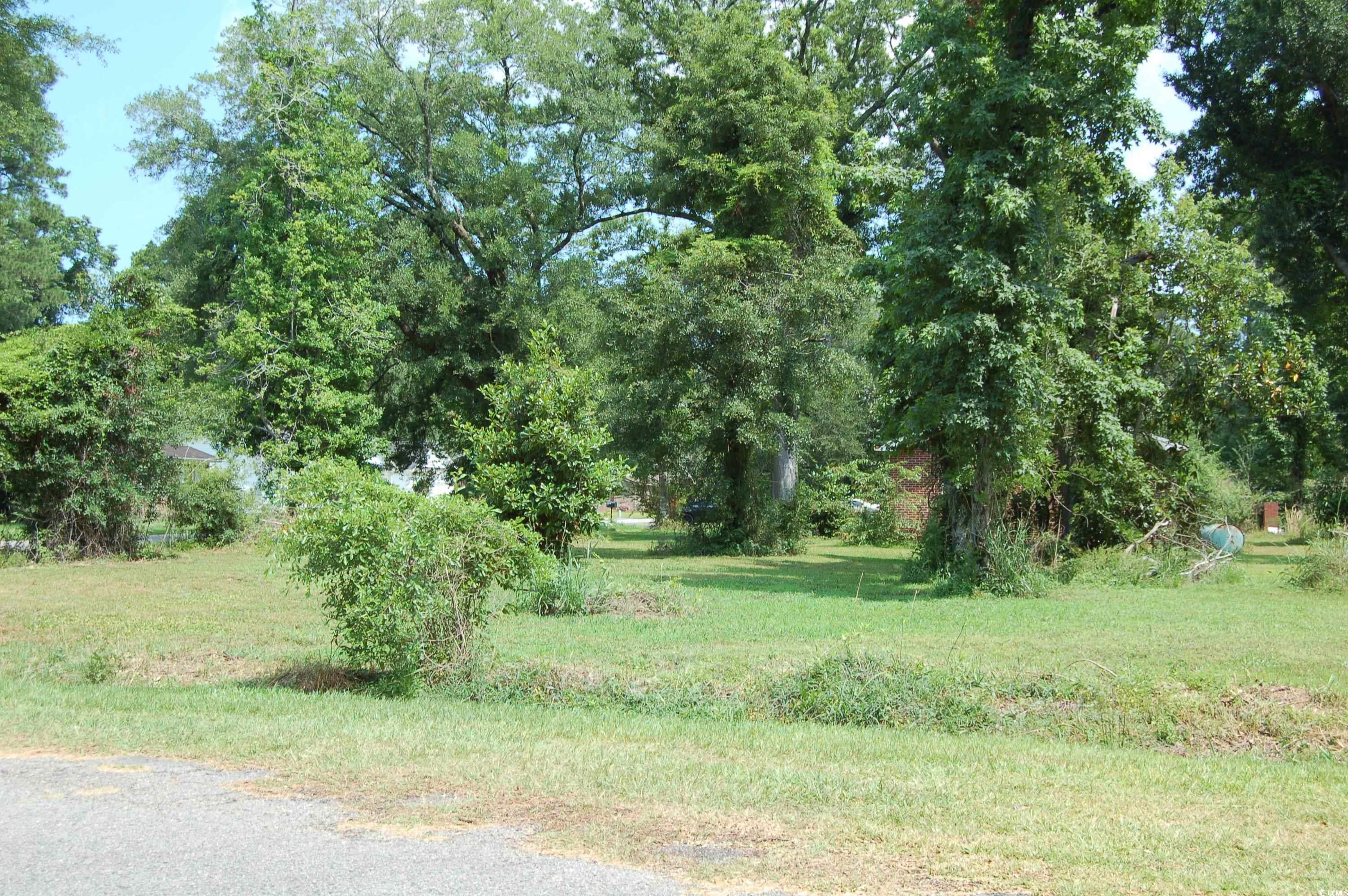 1824 Sumter Street Georgetown, SC 29440 - Photo 5 of 5
