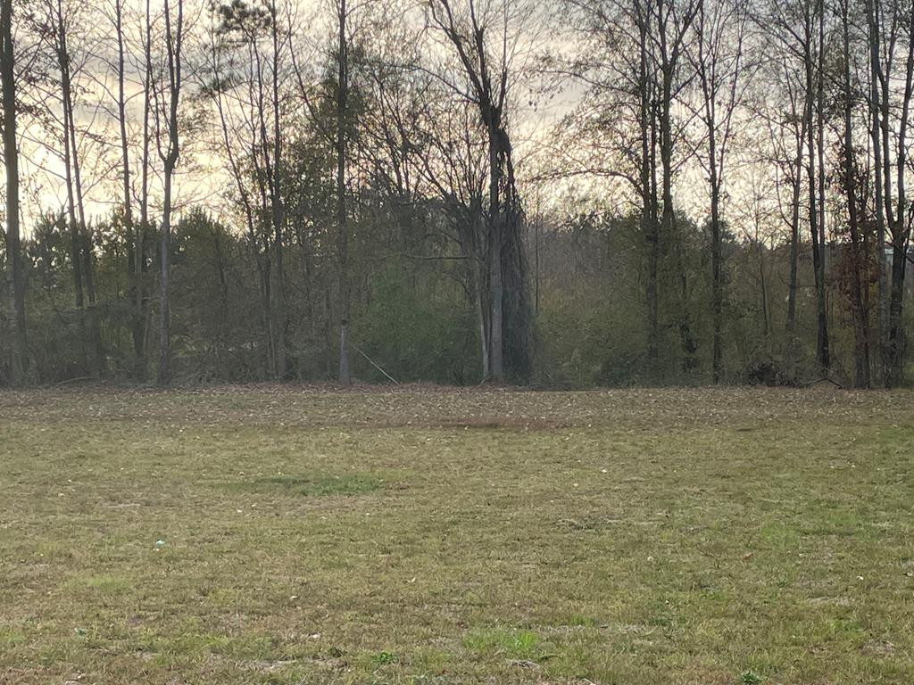 3153 Mound Road Northeast Wesson, MS 39191 - Photo 26 of 26 Photo 26