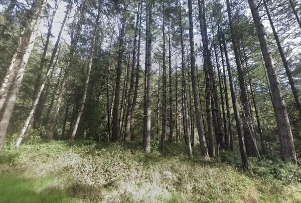 $40,000 | 210 Seafoam Road, Shelter Cove, CA 95589