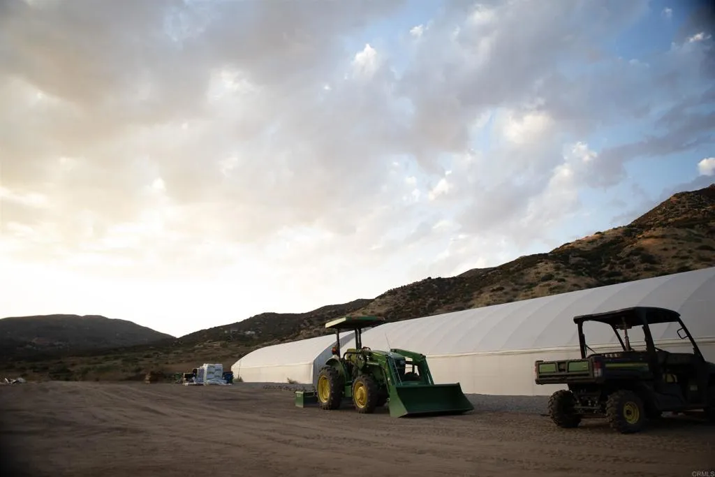 129 San Felipe Road Warner Springs, CA 92086 - Photo 13 of 23 a view of car parked on road with two large trees