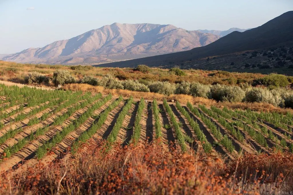 129 San Felipe Road Warner Springs, CA 92086 - Photo 20 of 23