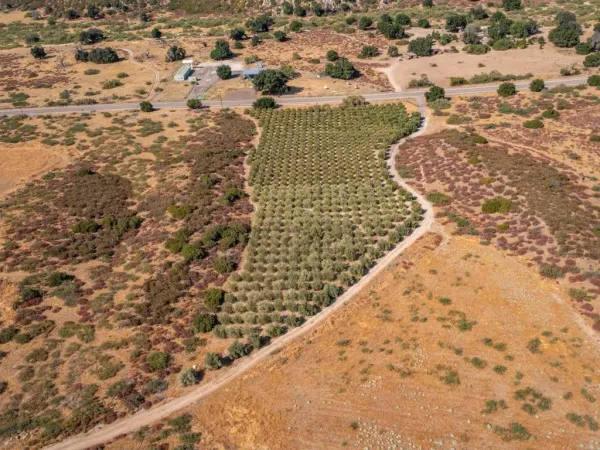 $795,000 | 129 San Felipe Road, Warner Springs, CA 92086