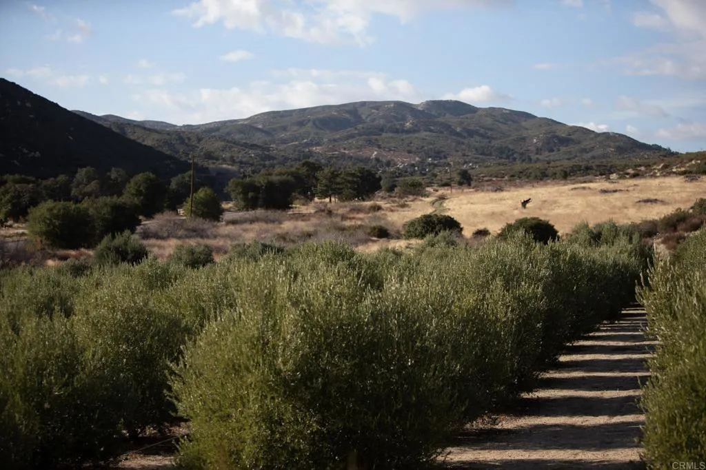 129 San Felipe Road Warner Springs, CA 92086 - Photo 6 of 23 a view of a lake with a mountain in the background