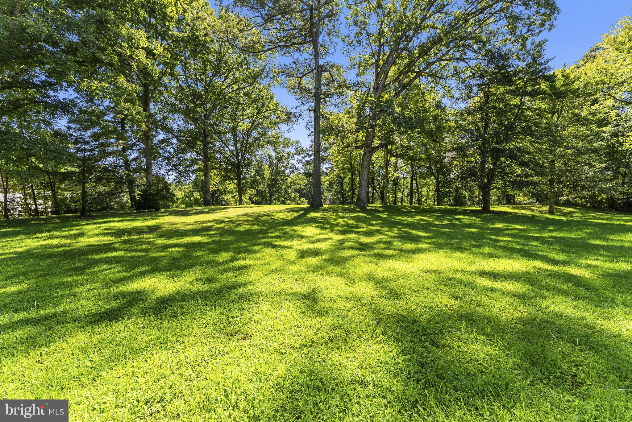 6019 Rixeyville Road Rixeyville, VA 22737 - Photo 48 of 55 Lush backyard dappled with shade