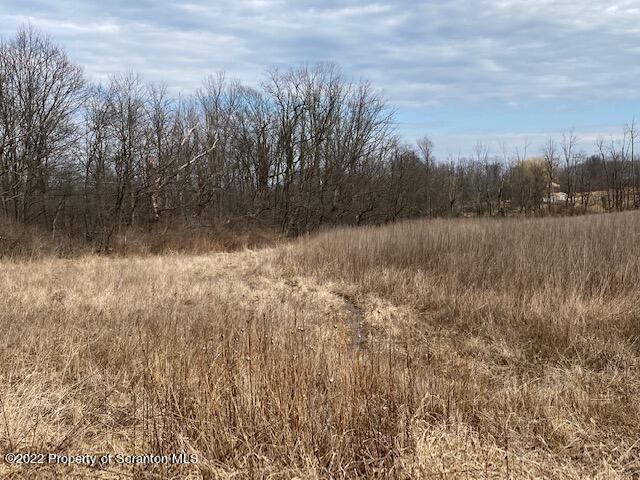 Lot 3 Reynolds Road Dalton, PA 18414 - Photo 1 of 5 a view of a lake view