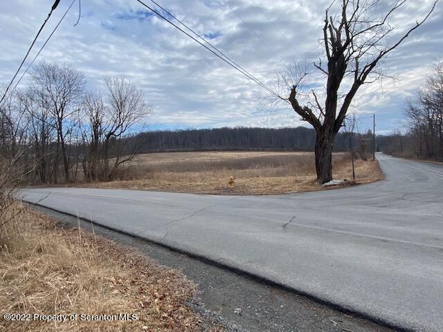 Lot 3 Reynolds Road Dalton, PA 18414 - Photo 2 of 5 a view of a yard with large trees