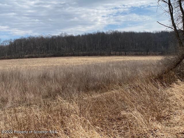 Lot 3 Reynolds Road Dalton, PA 18414 - Photo 3 of 5 a view of a yard