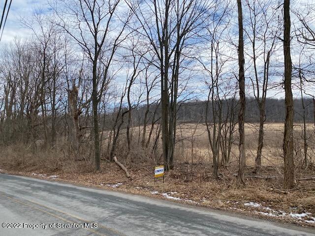 Lot 3 Reynolds Road Dalton, PA 18414 - Photo 4 of 5 a view of a backyard of the house