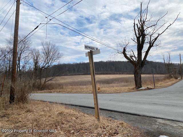 Lot 3 Reynolds Road Dalton, PA 18414 - Photo 5 of 5 a view of a street