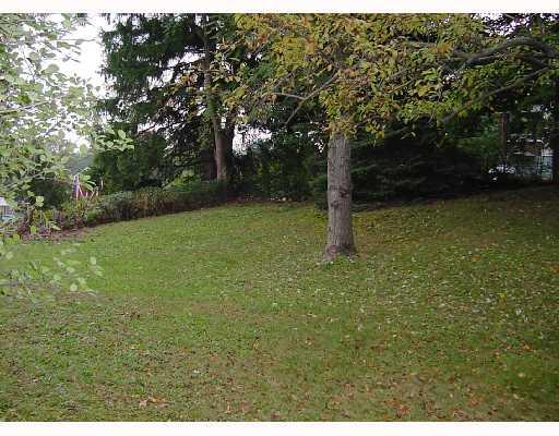 300 Pine Hollow Road Level Green, PA 15085 - Photo 8 of 8 Yard/Garden.