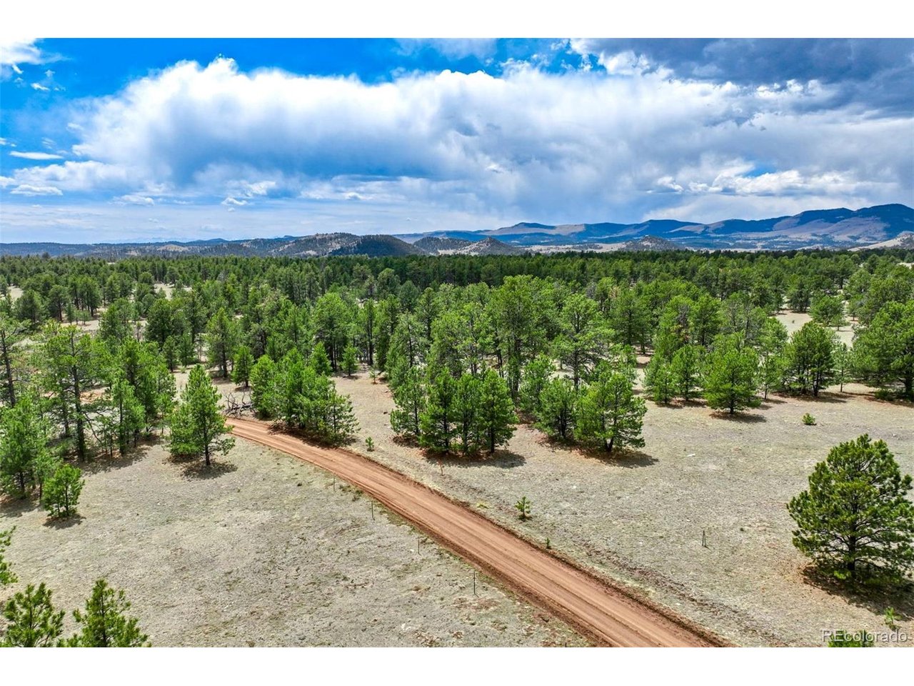 103 Doe Valley Road Guffey, CO 80820 - Photo 40 of 46