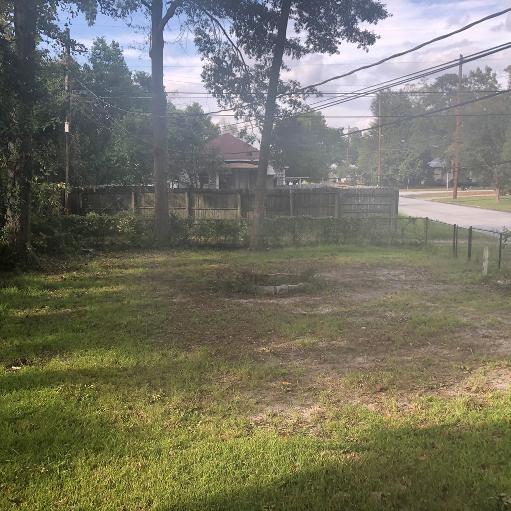 1345 18th Street Columbus, GA 31901 - Photo 4 of 16 a view of a small yard
