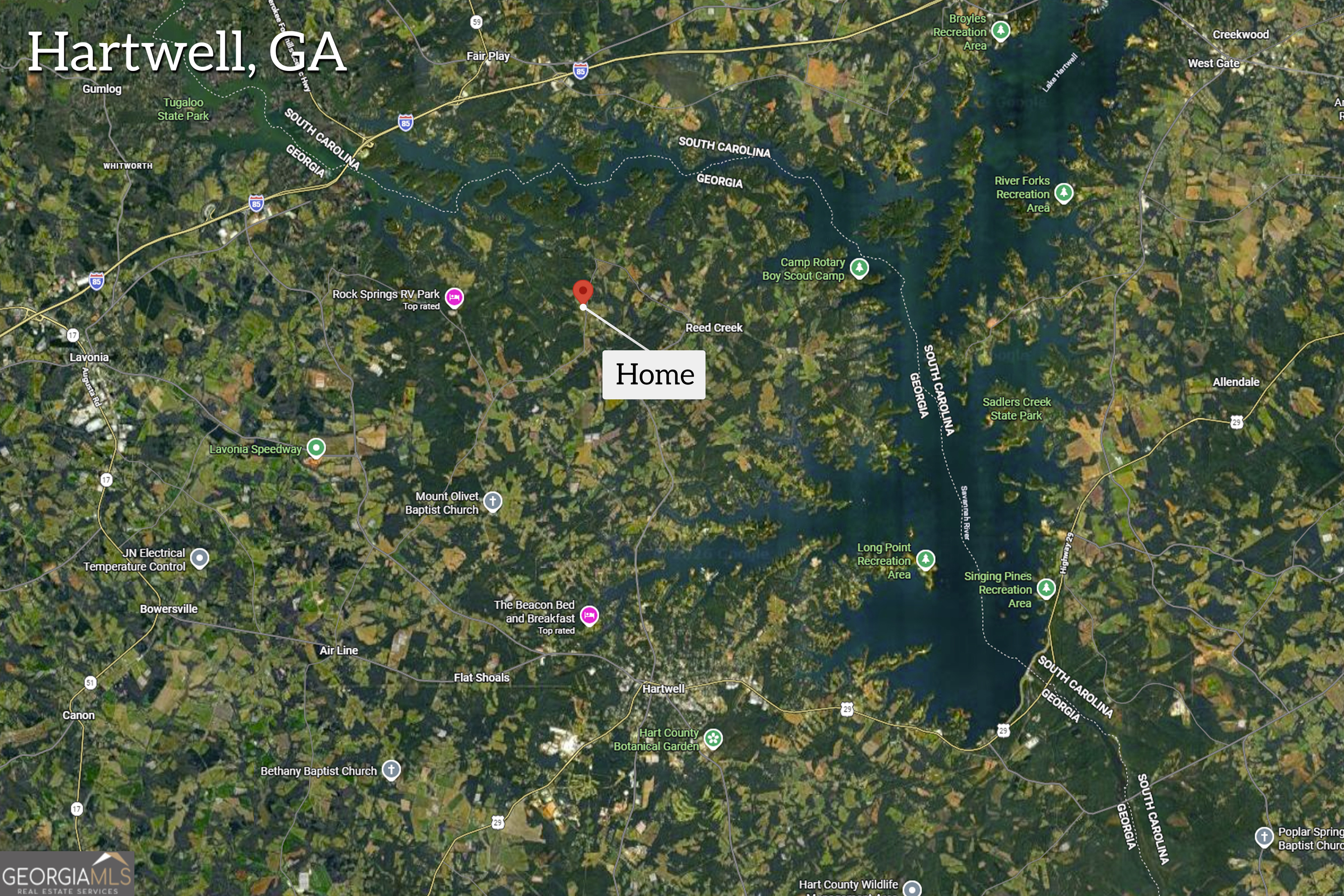 7743 Mt Olivet Road Hartwell, GA 30643 - Photo 6 of 42 a picture of tree