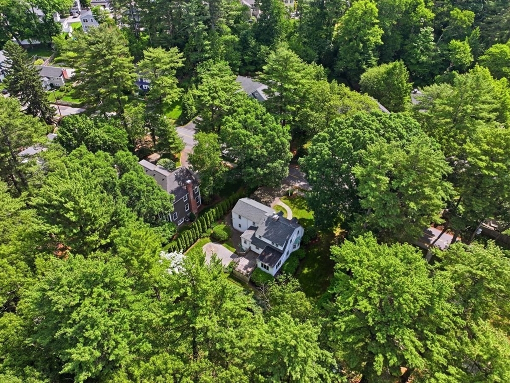 97 Green Street Needham, MA 02492 - Photo 40 of 42