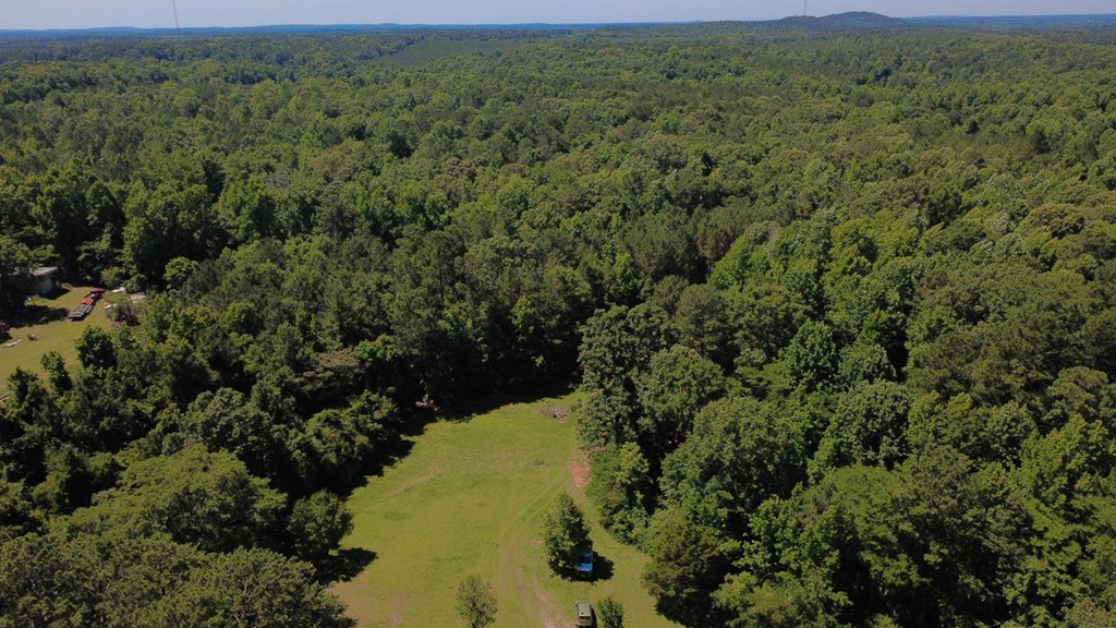 231 Lower Lovelace Road West Point, GA 31833 - Photo 16 of 49