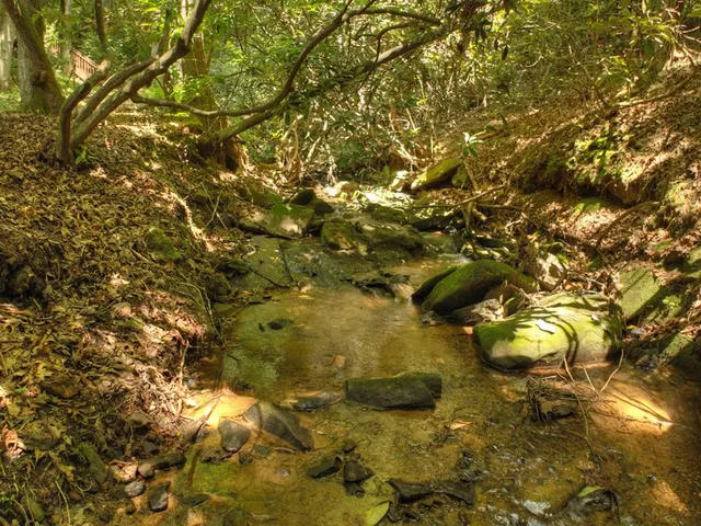 $1,525,000 | 207 Delphi Hills Lane, McCaysville, GA 30555