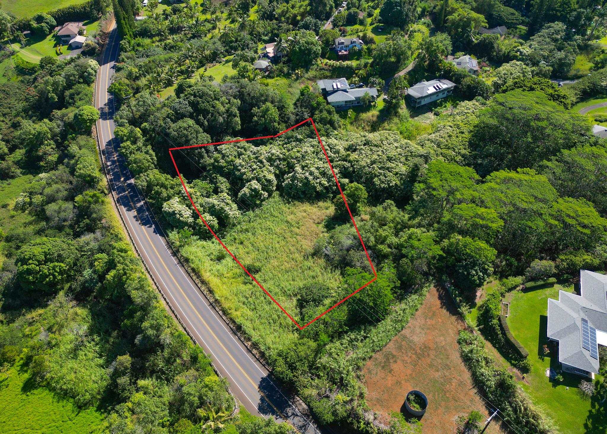 0 Hana Highway Haiku, HI 96708 - Photo 3 of 9