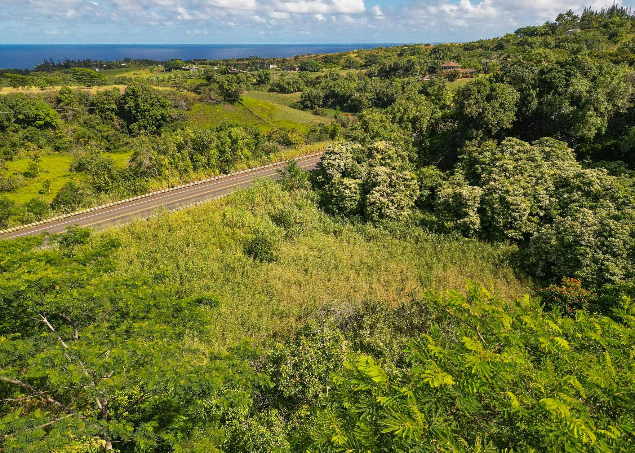 0 Hana Highway Haiku, HI 96708 - Photo 7 of 9