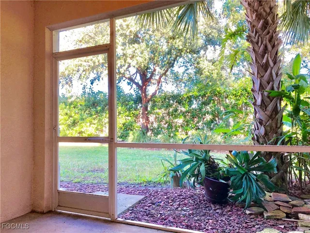 a view of a garden with plants and large trees