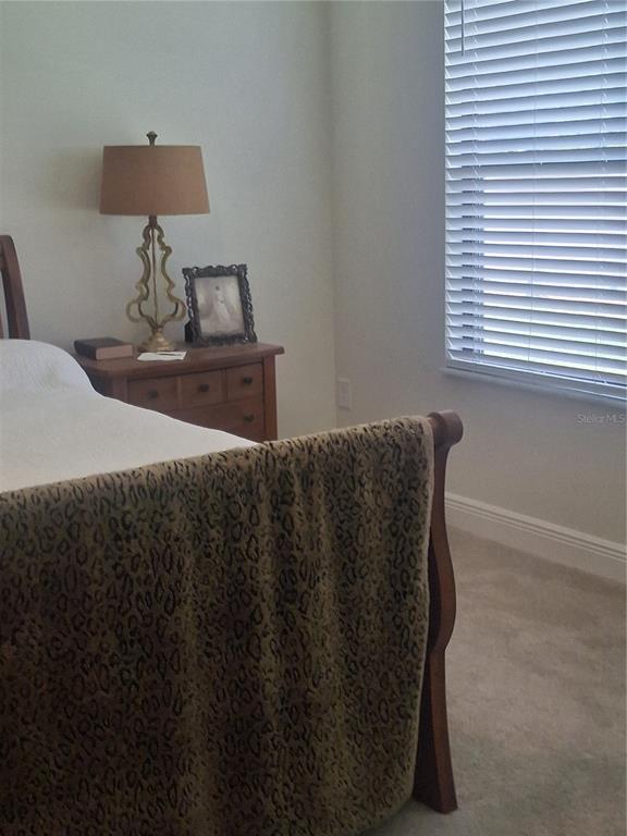 12618 Vander Way New Port Richey, FL 34654 - Photo 8 of 22 a bedroom with a bed and window