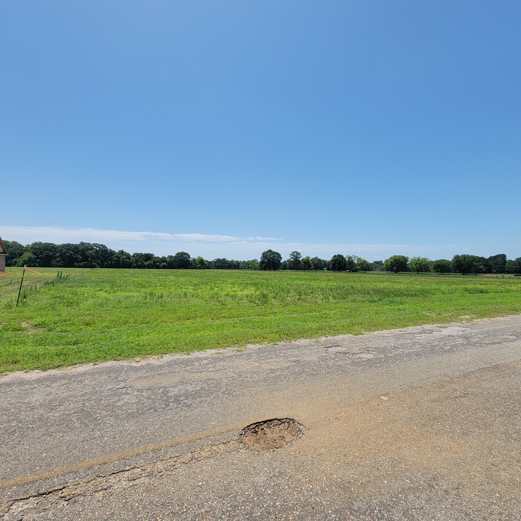 Lot 11 County Road 9 Newton, AL 36352 - Photo 8 of 12