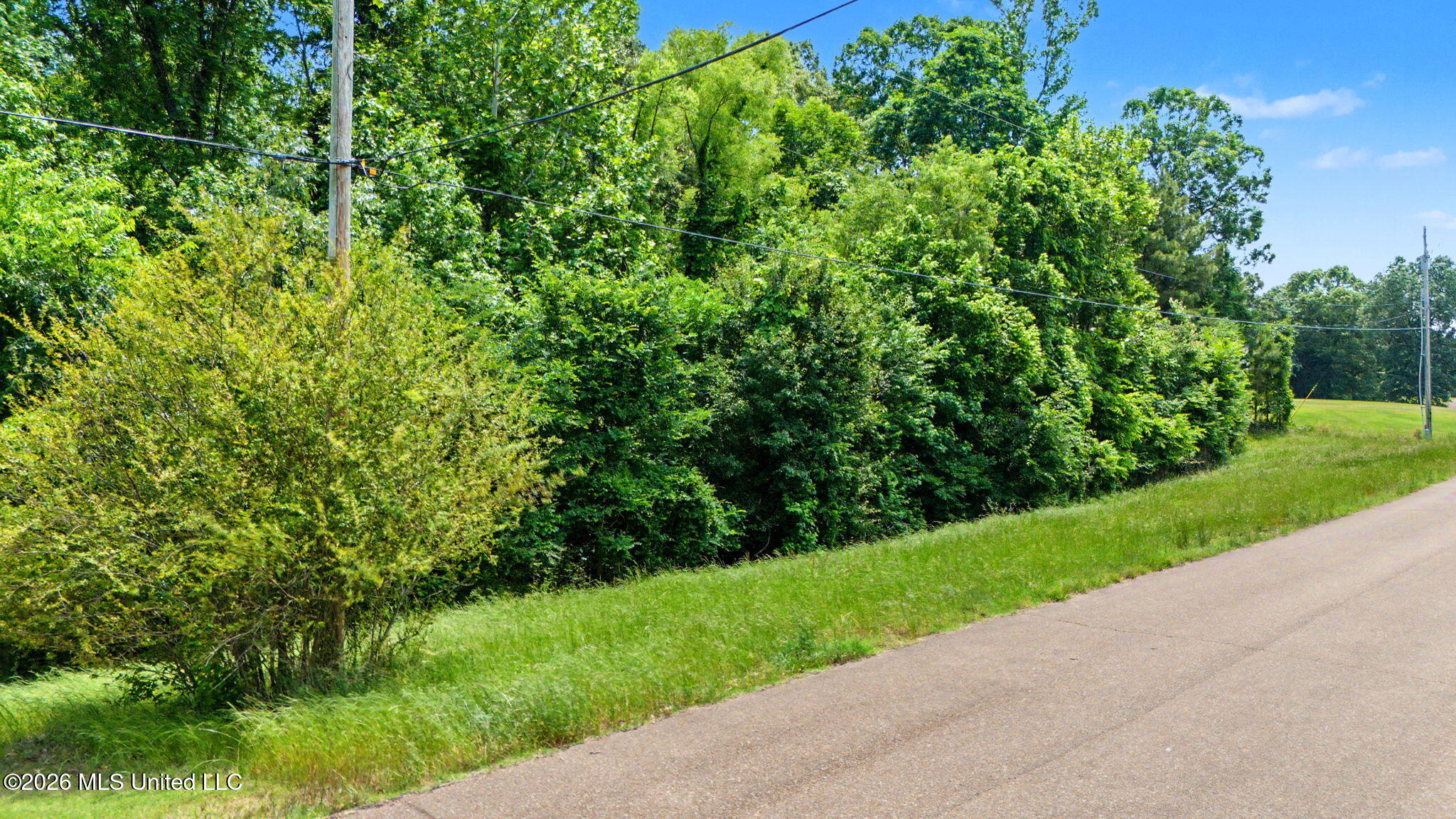 105 Crockett Loop East Hernando, MS 38632 - Photo 2 of 4 2.1 Acre Lot